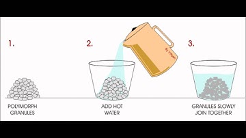 polymorph information video