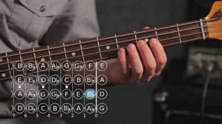 How to Play A ♯ / B Flat Minor Scale | Bass Guitar
