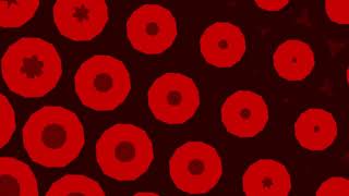 Flower Red Loop   |  VJ DJ Motion Animated Background Loop  |  Tronic DJ House