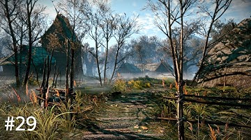 The Witcher 3 : Wild Hunt - Walkthrough "LADIES OF THE WOOD" - Part 29