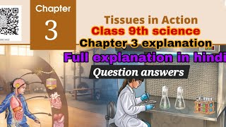 Tissues in action | Class 9th science chapter 3 question answers | Full explanation in hindi