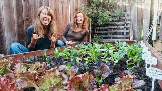 MY WINTER GARDEN DREAMS COME TRUE
