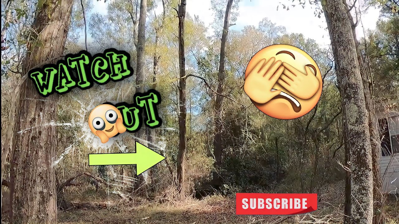 Tree Falling Down (Homestead Ep.3) - YouTube