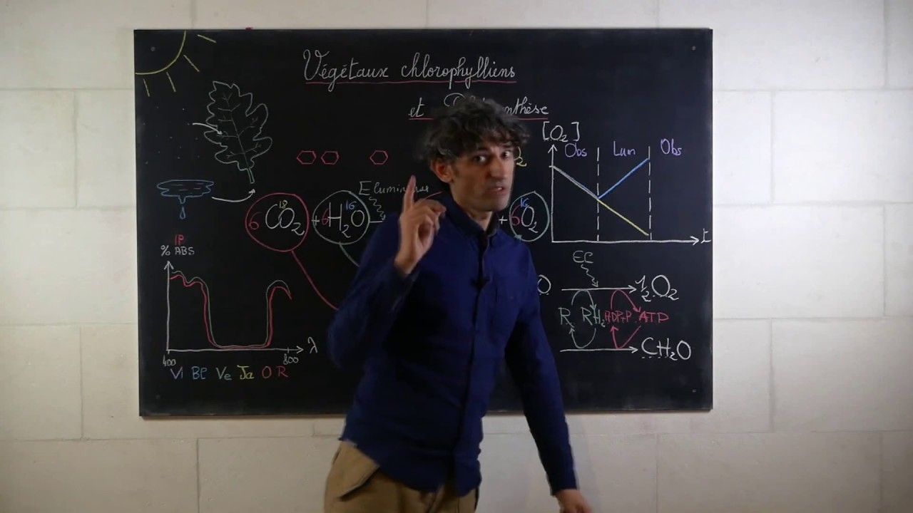 photosynthèse et oxydoréduction, la complexité