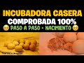 COMO HACER UNA INCUBADORA CASERA | 100% COMPROBADA - BIEN EXPLICADO