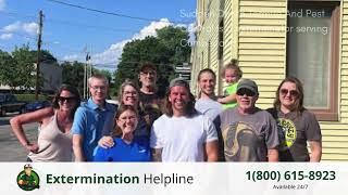 Top 3 Exterminators in Cumberland