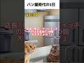 パン屋さんのリアル「パン屋時代の1日」#猫ミーム #パン屋さん #cat #パン屋の仕事