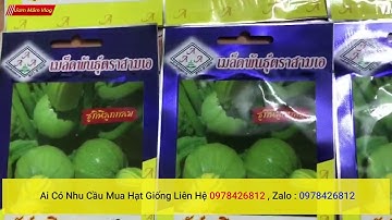 hạt giống bí ngồi tròn nhập khẩu thái lan chính hãng , giao hàng toàn quốc