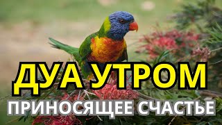 картинка: 🤲 ДУА ДЛЯ ПРИВЛЕЧЕНИЯ СЧАСТЬЯ И УДАЧИ! ✨