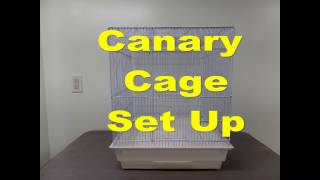 How to Set Up a Canary Cage