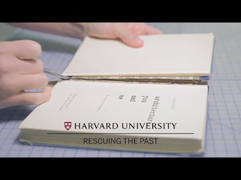 Harvard conservators repair books