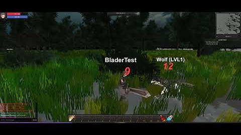 NoNameMMorpg Indie MMORPG Character creation and basic gameplay / First Quest
