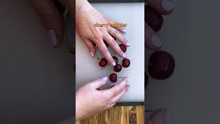 Famous How to Easily Pit Cherries Net Worth