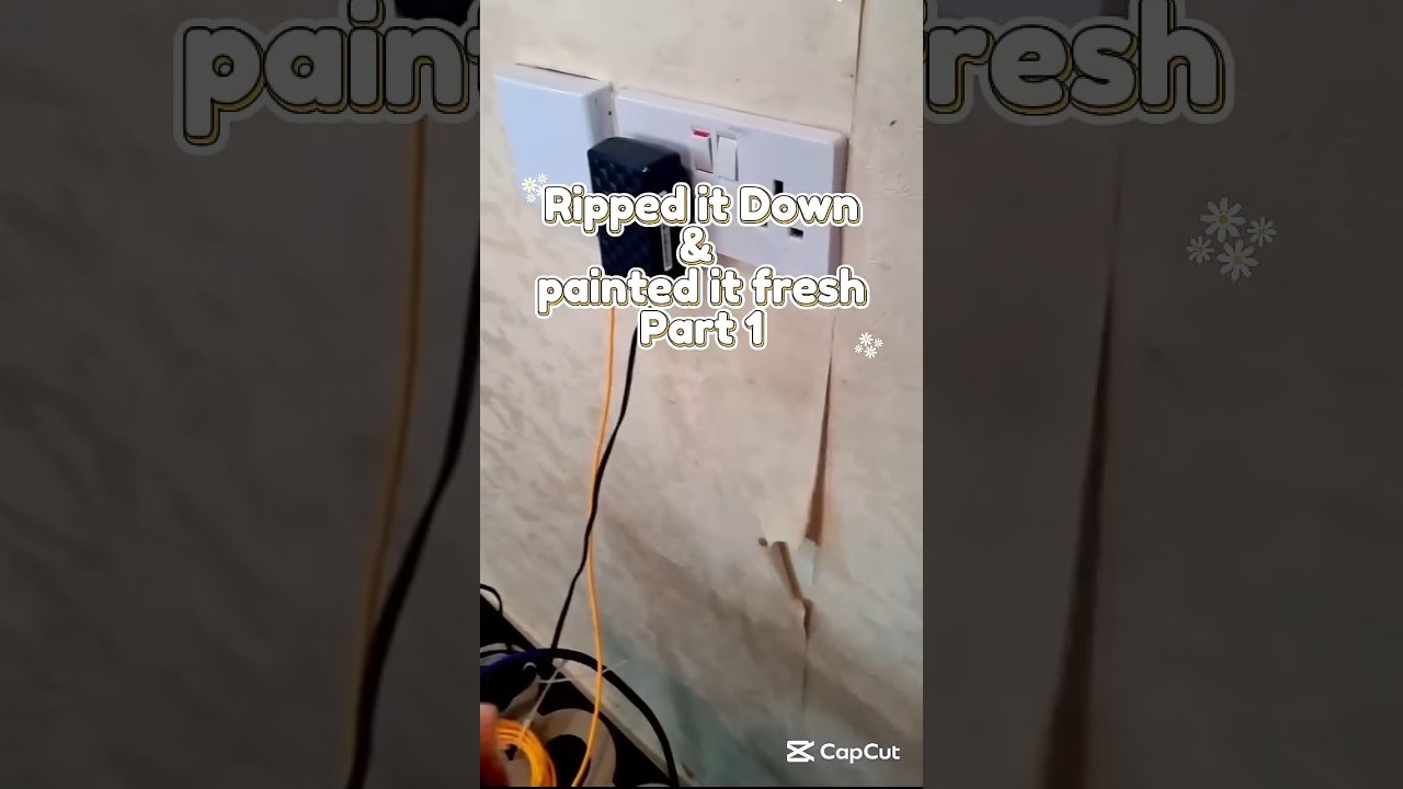 Parr 1: 2 days of chaos, paint & transformation—was it worth it? Watch till the end to find out!