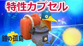 剣盾 とくせいカプセルの使い方を解説 夢特性 とくせいパッチ Youtube