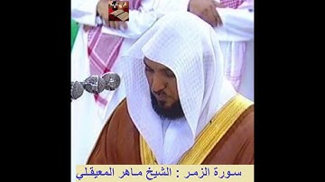 سورة الزمر للشيخ ماهر المعيقلي - جودة عالية HD