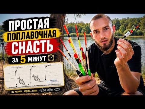 Crucian Carp, Common Carp, Bream: One Simple Rig for Everything