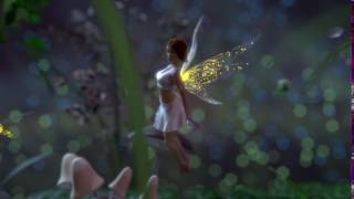 Fairy Animation