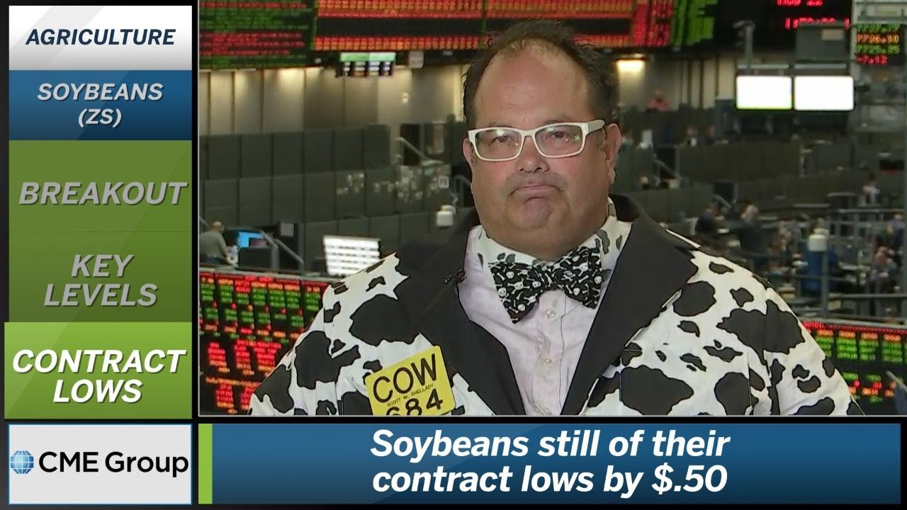 August 22 Grains Commentary: Scott Shellady - YouTube