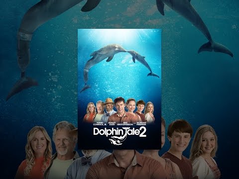 Dolphin Tale 2