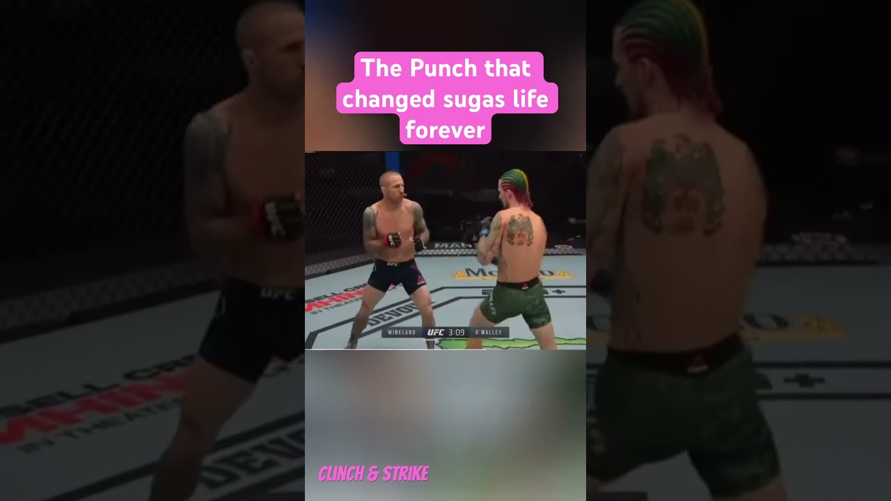 The Knockout that changed Sean O'Malleys Career 