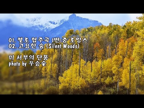 01  첼로 협주곡 1번 중 로망스 &amp;amp; 02  고요한 숲 (Silent Woods) / photo by 우승술