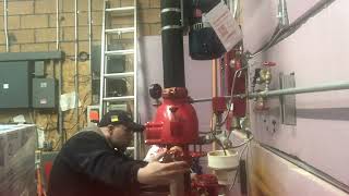 Resetting DPV-1 Dry System Valve