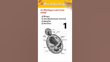 Mycology Quiz 💥|| MCQs on Mycology|| #mycology #microbiology #biology #dmlt#bmlt #gkquiz