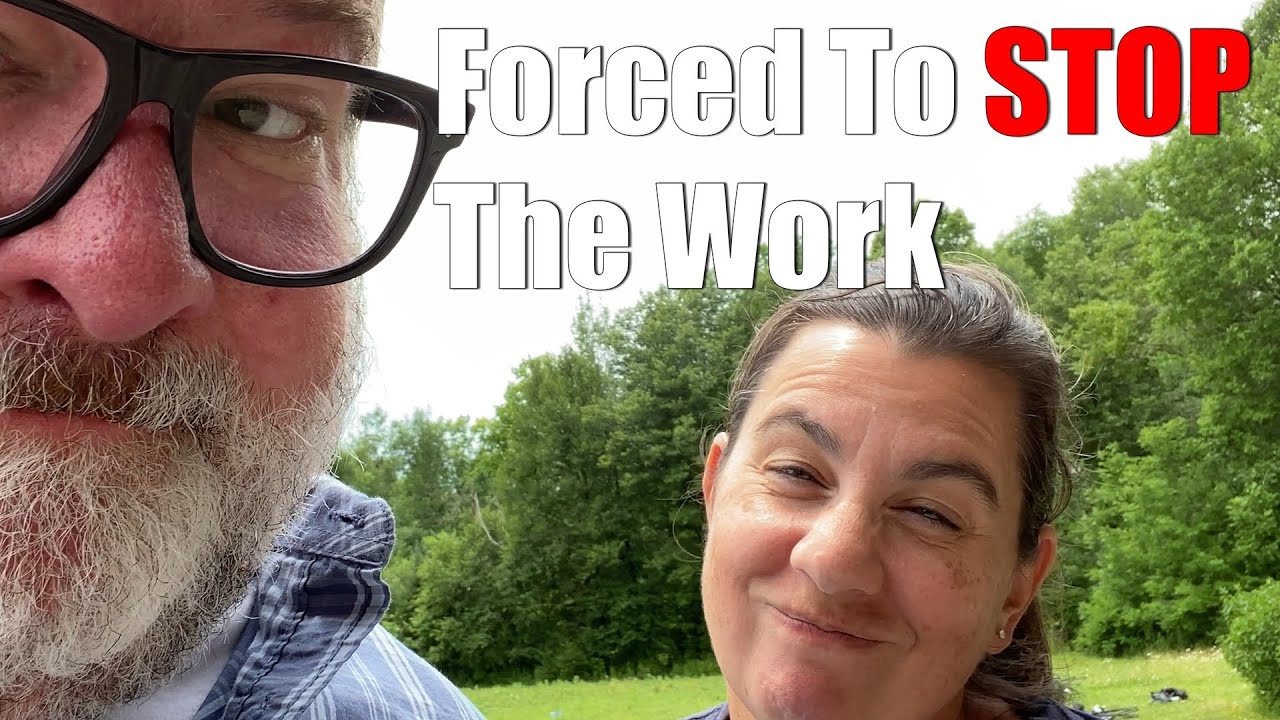 Forced To Stop Working | A Big Family Homestead VLOG - YouTube