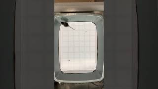 ShamControlBehaviour NCPE F21 20220608