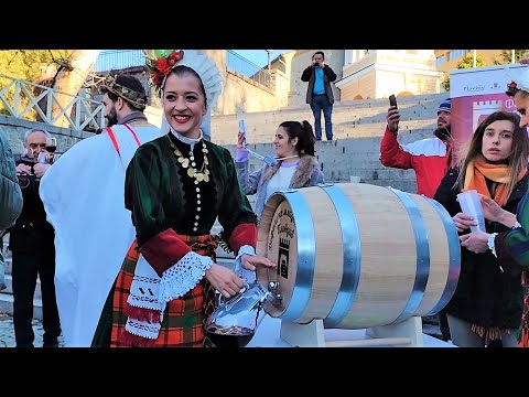 Young Wine Festival