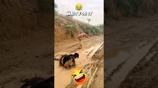 Perfectly Timed Mud Prank 😂