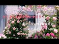 【番外編】つるバラの剪定、誘引🌹曲がらない枝を使って上から下までお花を咲かせる方法