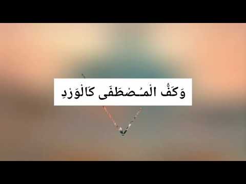 qamarun-_-islamic-song-lyrics-status-video-_-arabic-song-whatsapp-status-_-ibrahim-حافل