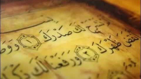 سورة الانشراح الشيخ عامر الكاظمي