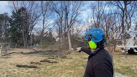 Sizwheel Works on Dry Ash