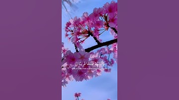 مقطع يلامــس قلبك بصوت عبدالرحمن مسعد ❤️😍 حالات واتس أب قران كريم☁️💤