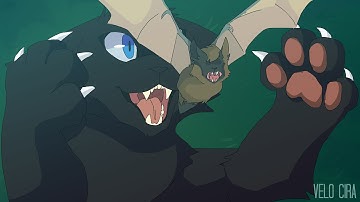 Why Did You Change - MAP Part 28