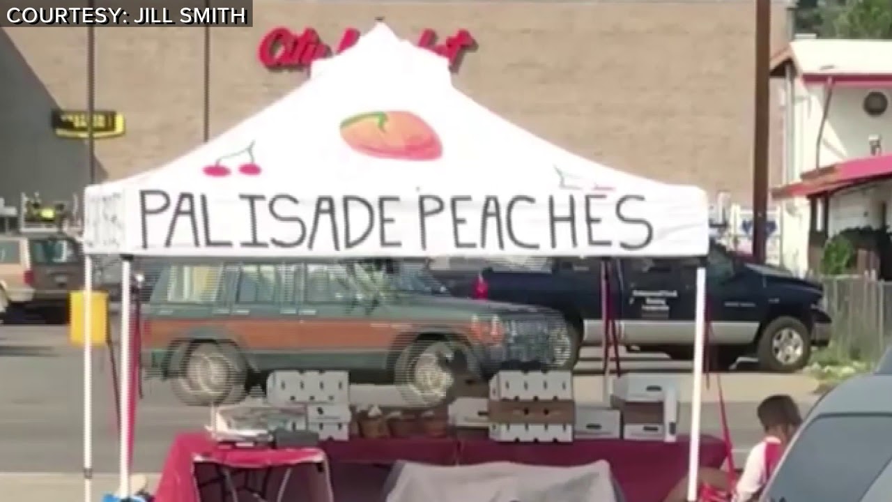 Deer steals Palisade peaches from fruit stand YouTube
