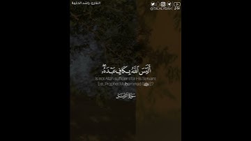 ﴿أَلَيسَ الله بِكافٍ عَبدَهُ..﴾ | القارئ: راشد الحليبة