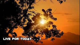 Mayilirage Mayilirage song remix|Whatsapp status|Remix ringtone