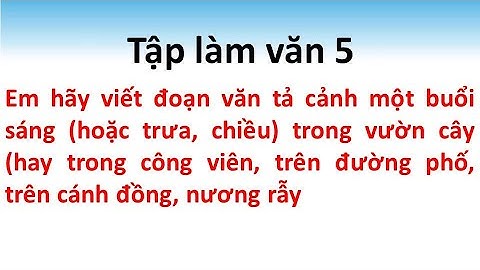Viết đoạn văn tả cảnh một buổi sáng trưa, chiều trong vườn cây hay trong công viên, trên đường phố