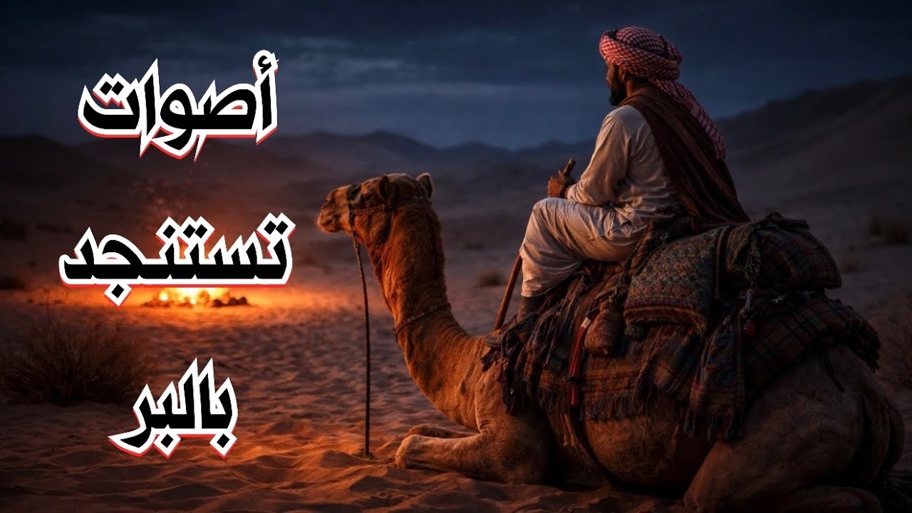 قصة 838 - أصوات غريبة تستنجد في منطقة برية