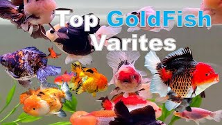 Top Goldfish Varieties/ best fancy gold fish species rare and common / everything about goldfish