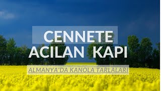 Cennete açılan kapı...
