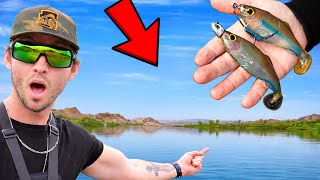 Exploring a MASSIVE Desert River for BIG Fish!