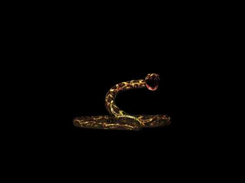 Glowing Snake 3d Hologram video | Black background | Free VFX