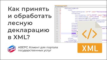 Как принять и обработать лесную декларацию в XML