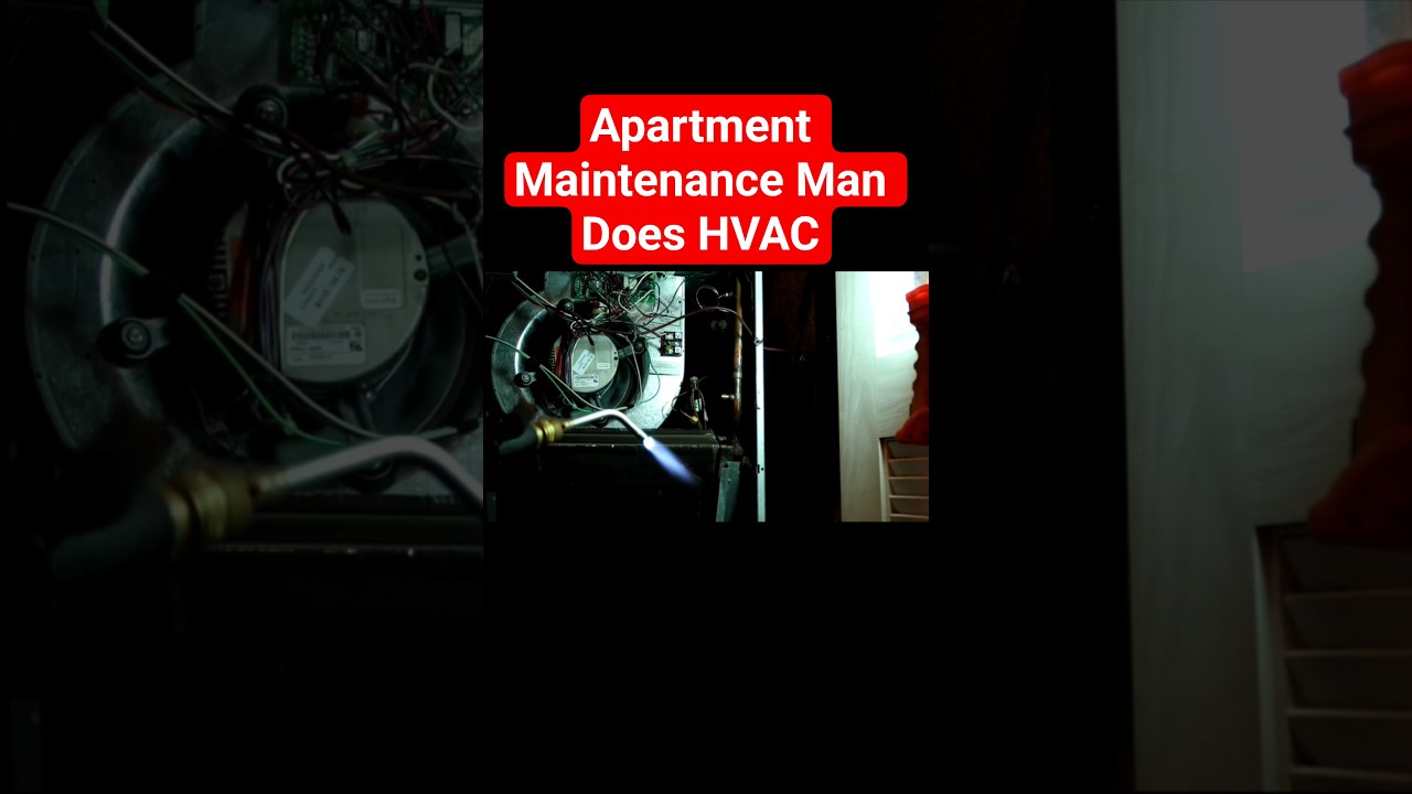 Специалист по обслуживанию квартир занимается системами отопления, вентиляции и кондиционирования...