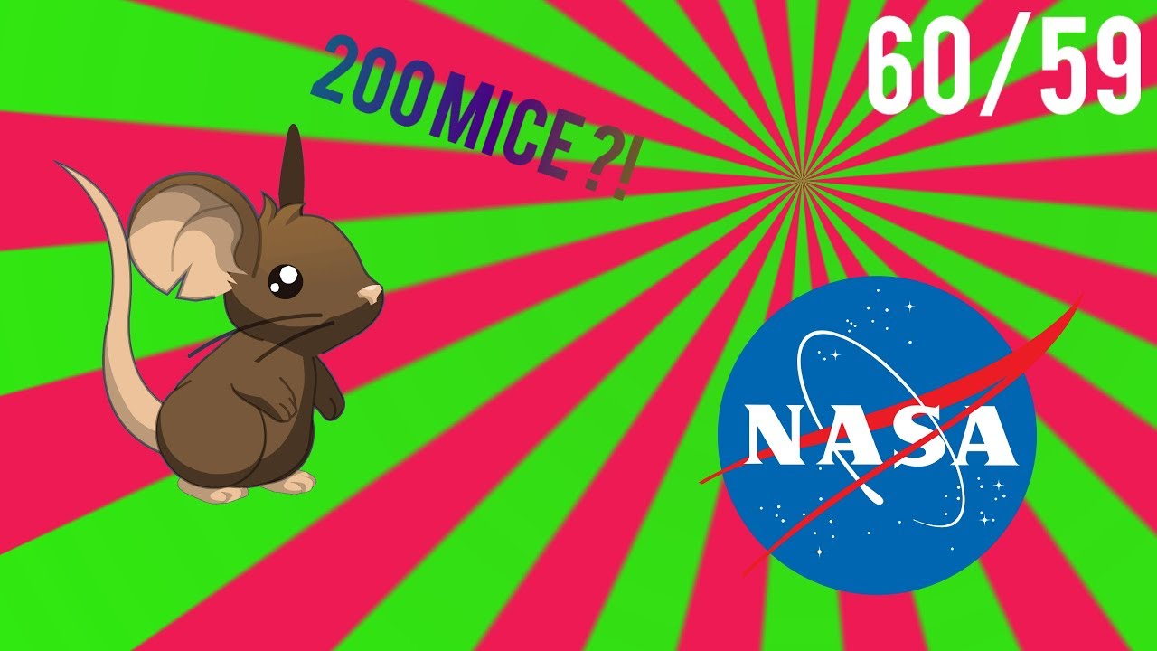 Transformice 150/200+? / Burlas Racing